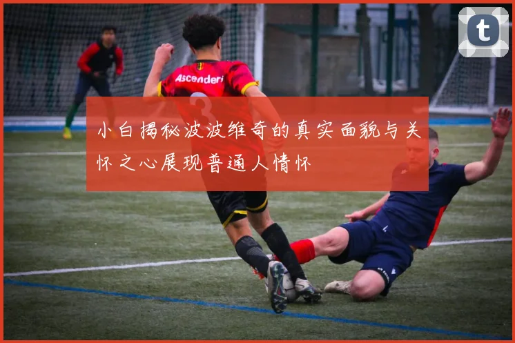小白揭秘波波维奇的真实面貌与关怀之心展现普通人情怀