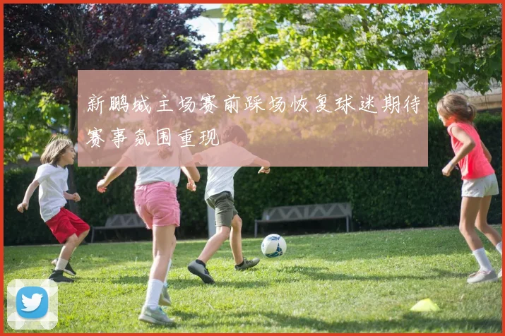 新鹏城主场赛前踩场恢复球迷期待赛事氛围重现
