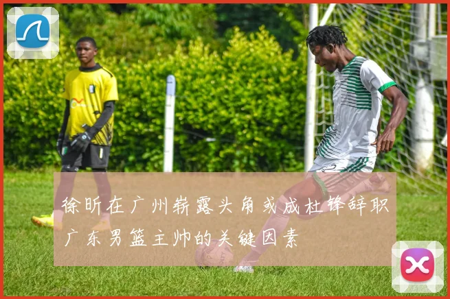 徐昕在广州崭露头角或成杜锋辞职广东男篮主帅的关键因素