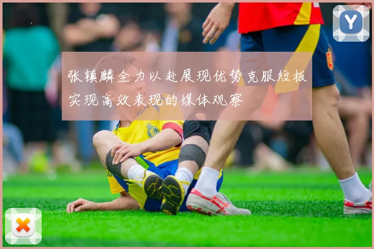 张镇麟全力以赴展现优势克服短板实现高效表现的媒体观察